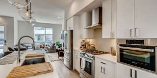 Contemporary Townhome with Rooftop Deck-Flatiron Views Gallery 3