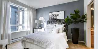 Apex Apartments Gallery 11