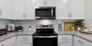 The Palms Glenside Gallery 2