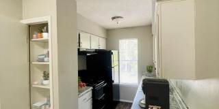Timberline Gallery 54