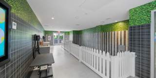 Halcyon House Gallery 11