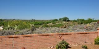 2017 W Via Nuevo Leon Gallery 14