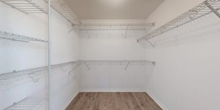 2644 Rhinestone Drive Gallery 11