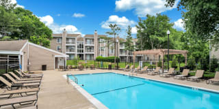 Columbia Glade Gallery 40