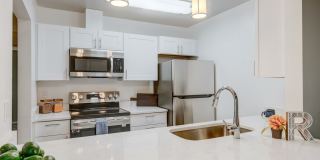 Rock Pointe Gallery 1