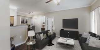 The Reserve At Tranquility Lake Gallery 22