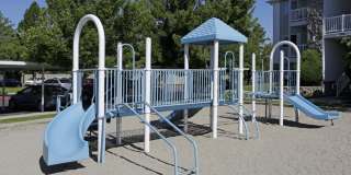 Cedar Breaks Gallery 15