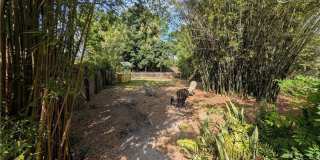 1637 Woodford Avenue Gallery 18