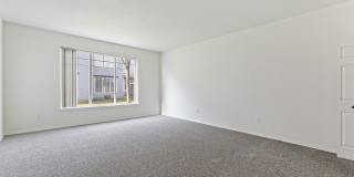 Logger Creek Gallery 26