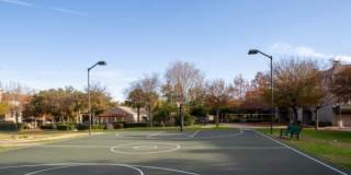 7711 O Connor Dr, #1018 Gallery 9