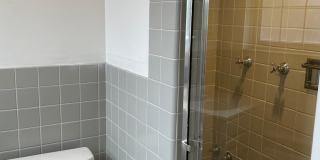 New King Edward Gallery 914