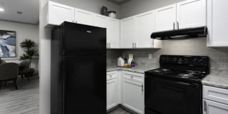 Evergreen Terrace Gallery 6