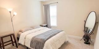 8196 Cape Fox Drive Gallery 16
