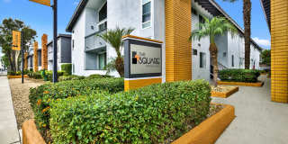 The Square Gallery 1