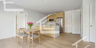 Beautiful 1 Bed - Close to BU Gallery 5