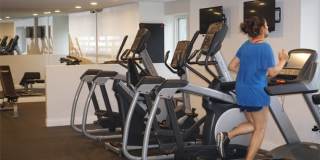 Plum Tree Gallery 27