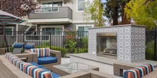 Sofi Berryessa Gallery 6