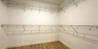 Caroline at Golden Glades Gallery 48