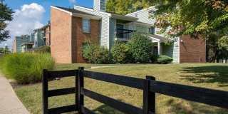 Steeplechase Gallery 3