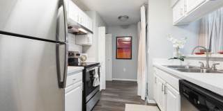 Northgreen at Carrollwood Gallery 2