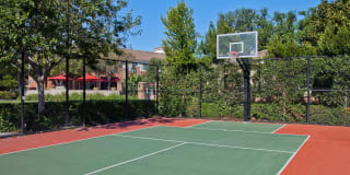 Homecoming At Eastvale Gallery 12