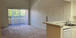 Villa Del Sol Gallery 8