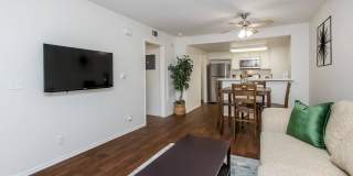 The Terrace Apartments Gallery 23