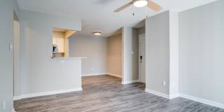 Rutland Place Gallery 10