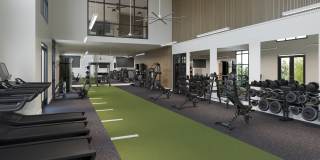 The Colton Gallery 4