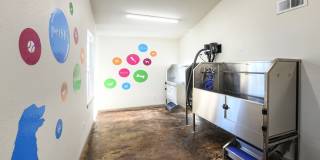 Arcadia Apartments Gallery 4