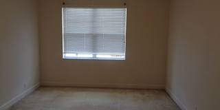3 Bed/ 2 Bath in Victoria Park 3 Bed/ 2 Bath in Victoria Park Gallery 12