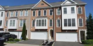 21844 LADYSLIPPER Square Gallery 1
