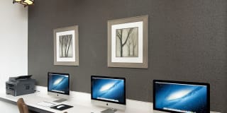 White Palm Gallery 25