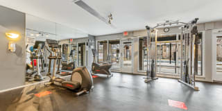 Whisper Hollow Gallery 18