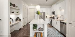 The Lights at Northwinds Gallery 28