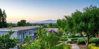 Pleasanton Heights Gallery 3