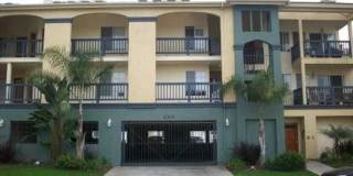 259 Donax Ave, Unit D Gallery 1