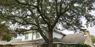8631 Quail Whisper Gallery 1