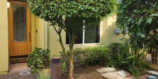 Bright & Sunny City Center townhouse style condo Great location, Nice 2 bedroom 2.5 bathroom Gallery 1