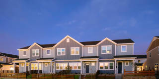 Cadia Sherman Gallery 46