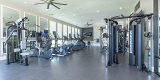 Solasta Solasta Gallery 10