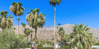 780 E Palm Canyon Drive Gallery 41