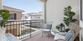 Vida at Mountain House Gallery 5