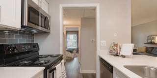 A/62 Apartments Gallery 15
