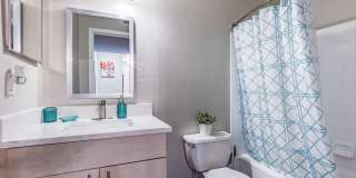 Collington Apartments Gallery 18