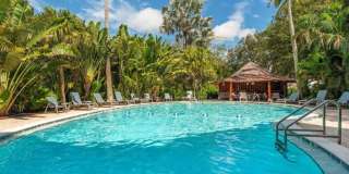 ** MOORINGS\COQUINA SANDS SEASONAL\ANNUAL AVAILABLE REMODELED 2/2 ACROSS FROM LOWDERMILK PARK BEACH ** Gallery 4