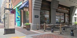 Ellis Bethesda Gallery 21