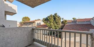 28370 Rey De Copas Ln Gallery 15