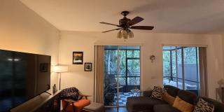 536 Pinebranch Circle Gallery 1