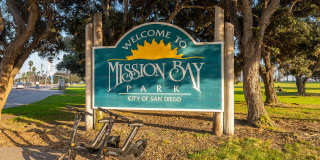 The Seaton Gallery 33